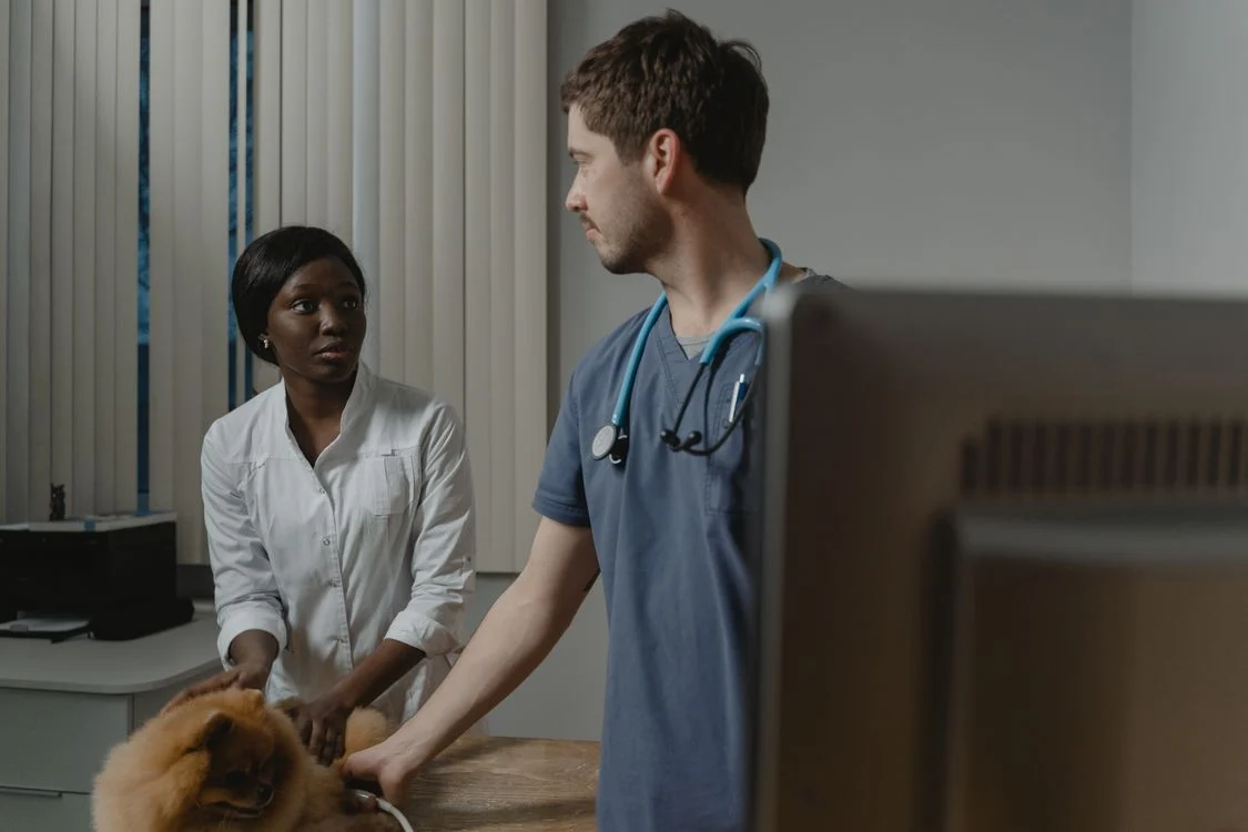 Veterinary professionals with a dog beside a clinic computer
